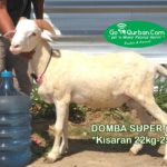 Domba Super 22-25 Kg