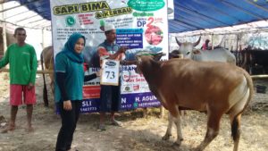 SAPI QURBAN 2018 Kandang R No Sapi : 73