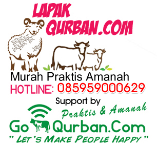 Kambing Qurban 2021 dan Domba Qurban 2021 Serta Sapi dan Kerbau Qurban 2021 di LapakQurban.com SOLUSI QURBAN DI SAAT PPKM DARURAT pusat penjualan hewan qurban seperti sapi qurban, domba, kambing di jakarta bogor depok tangerang bekasi murah sehat dan praktis