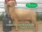 Domba By Request 45 Kg>