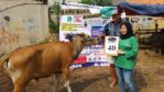 SAPI QURBAN 2018 Kandang M No Sapi : 40